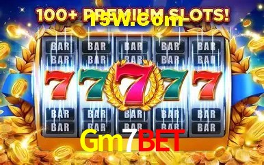 Sistemas de Segurança Gm7Bet